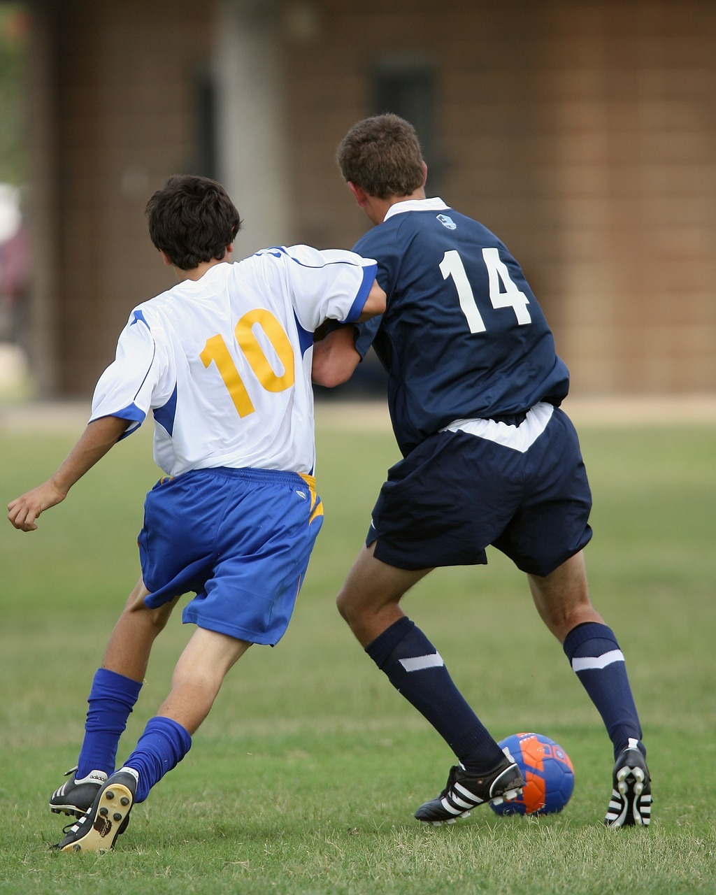 soccer, football, soccer players-1477681.jpg